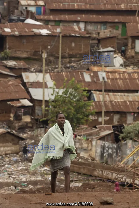 : Kibera, one of Africa's largest slums, near Nairobi : Kibera, one of Africa's largest slums, near Nairobi