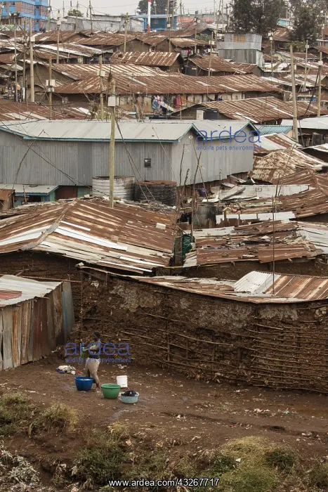 : Kibera, one of Africa's largest slums, near Nairobi : Kibera, one of Africa's largest slums, near Nairobi