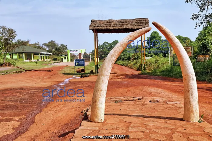 : Kichumbanybo-Tor im Murchison Falls National Park Uganda : Kichumbanybo-Tor im Murchison Falls National Park Uganda