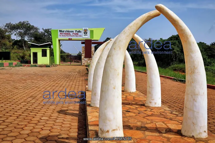 : Kichumbanybo-Tor im Murchison Falls National Park Uganda : Kichumbanybo-Tor im Murchison Falls National Park Uganda