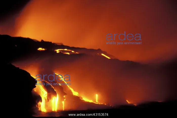 : Kilauea Volcano, 1991 : Kilauea Volcano, 1991