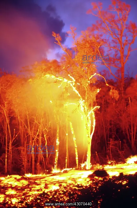 : Kilauea Volcano Erupting : Kilauea Volcano Erupting