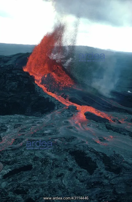 : Kilauea Volcano Erupting : Kilauea Volcano Erupting