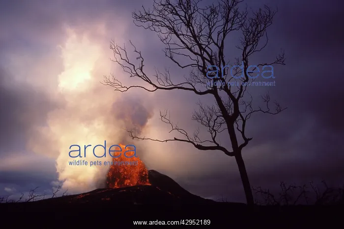 : Kilauea Volcano - Hawaii : Kilauea Volcano - Hawaii