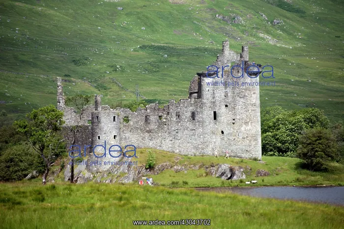  : Kilchurn Castle