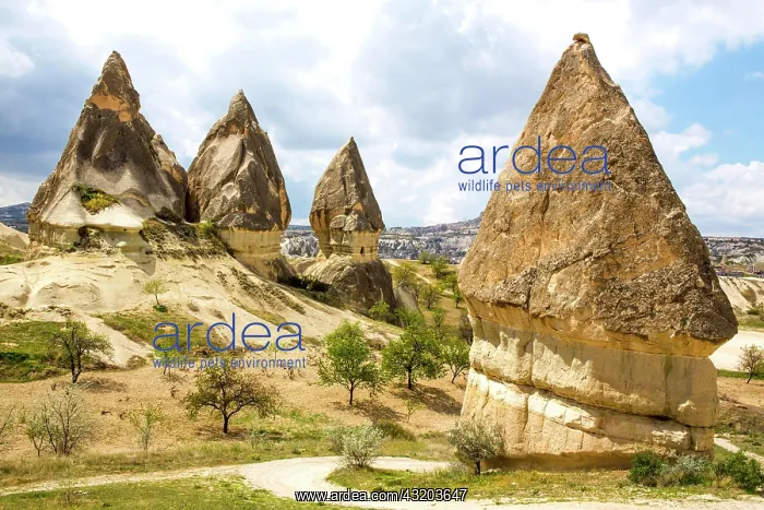 : Kiliclar Valley, fantastic tuff formations, Cappadocia : Kiliclar Valley, fantastic tuff formations, Cappadocia