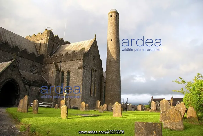  : Kilkenny, Ireland. Killkenny is also known