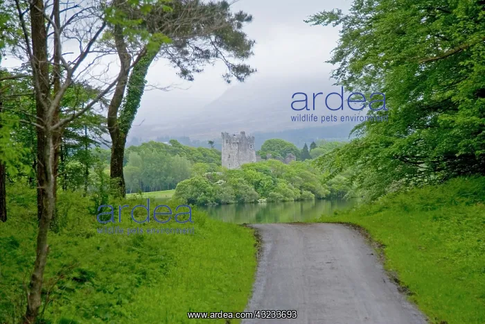  : Killarney, Ireland. Jaunting is a popular