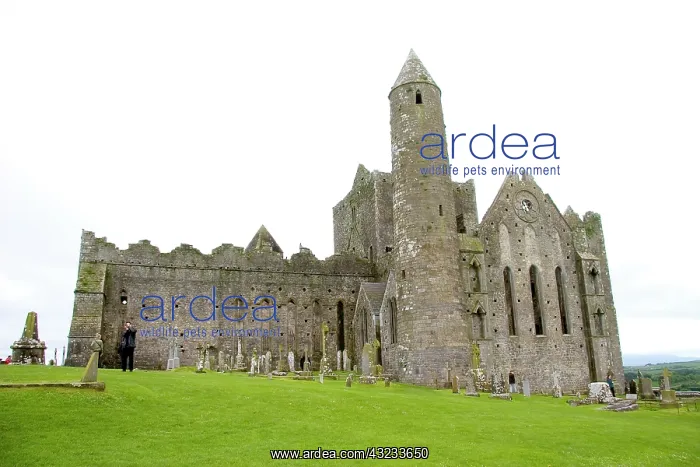 : Killkenny, Ireland. The dramatic Spectacle : Killkenny, Ireland. The dramatic Spectacle