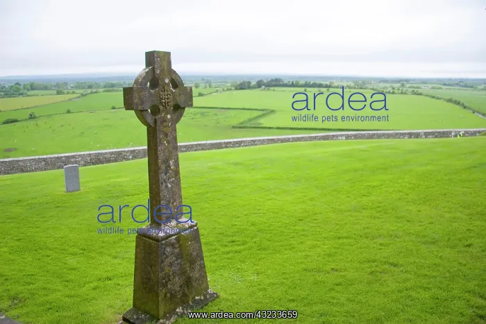 : Killkenny, Ireland. The dramatic Spectacle : Killkenny, Ireland. The dramatic Spectacle