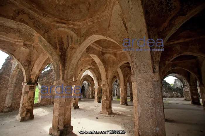: Kilwa Kisiwani Great Mosque - built in the 10th century : Kilwa Kisiwani Great Mosque - built in the 10th century