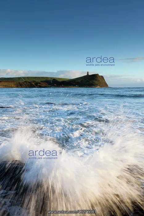 : Kimmeridge Bay - seascape : Kimmeridge Bay - seascape