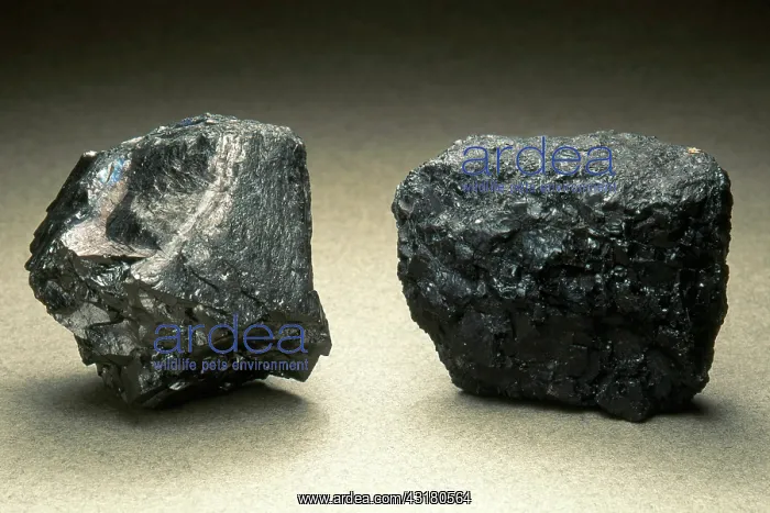  : Two Kinds of Coal
