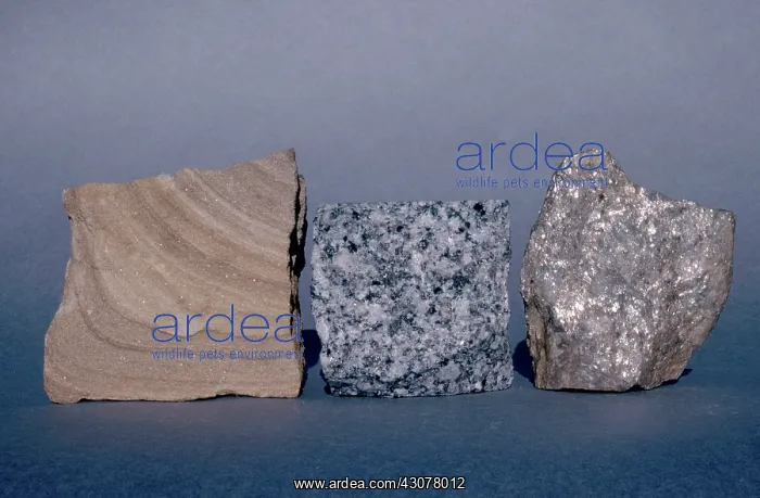 : Three Kinds of Rocks : Three Kinds of Rocks