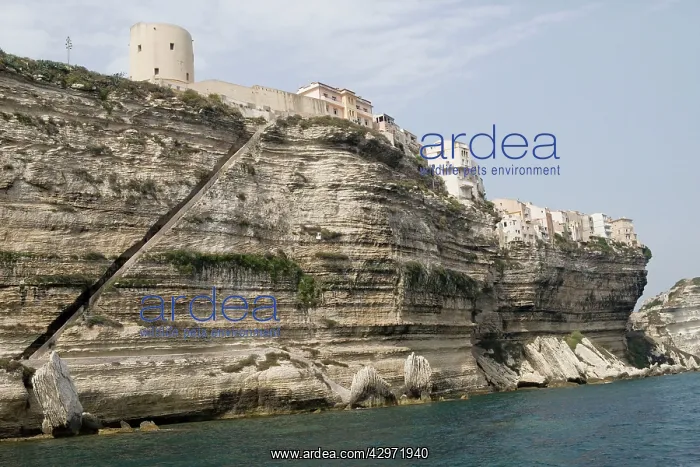 : King of Aragon's Steps : King of Aragon's Steps