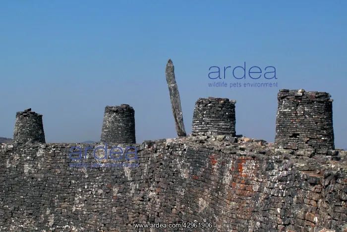  : The King Palace Wall - Great Zimbabwe