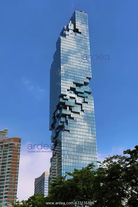 : King Power MahaNakhon building in Bang Rak District : King Power MahaNakhon building in Bang Rak District