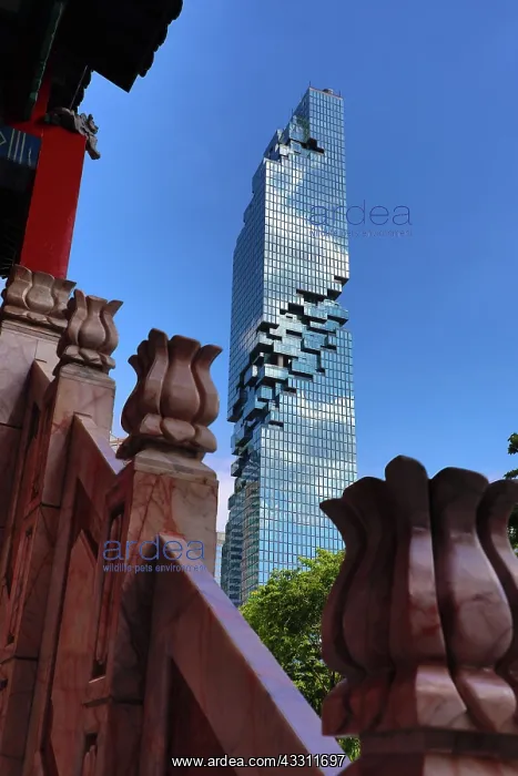 : King Power MahaNakhon building in Bang Rak District : King Power MahaNakhon building in Bang Rak District