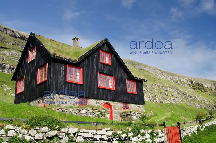 : Kingdom of Denmark, Faroe Islands (aka Foroyar) : Kingdom of Denmark, Faroe Islands (aka Foroyar)