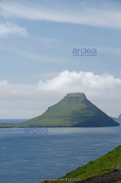: Kingdom of Denmark, Faroe Islands (aka Foroyar) : Kingdom of Denmark, Faroe Islands (aka Foroyar)