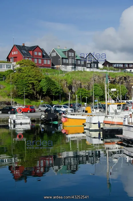 : Kingdom of Denmark, North Atlantic, Faroe : Kingdom of Denmark, North Atlantic, Faroe