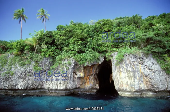 : Kingdom of Tonga - Swallow's Cave : Kingdom of Tonga - Swallow's Cave