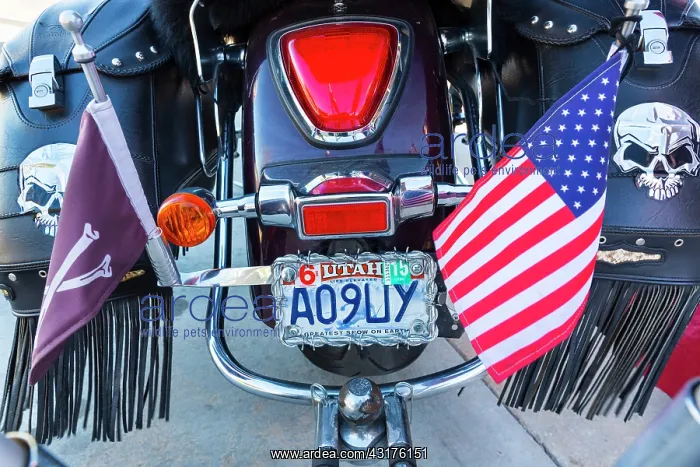 : Kingman, U.S. Route 66 (US 66 or Route 66), Arizona : Kingman, U.S. Route 66 (US 66 or Route 66), Arizona