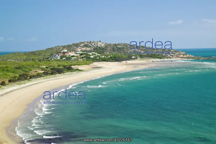 : King's Beach from Flagstaff Hill, Bowen : King's Beach from Flagstaff Hill, Bowen