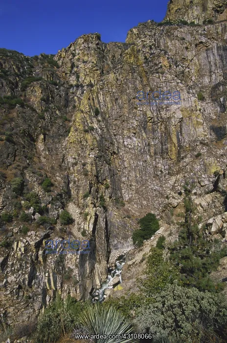 : Kings Canyon National Park : Kings Canyon National Park