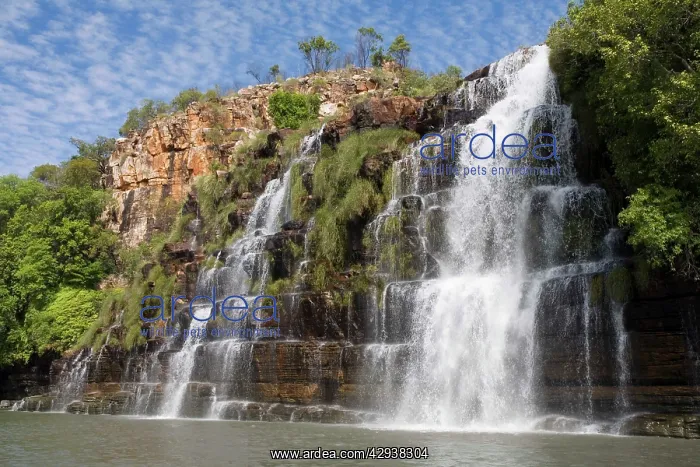 : Kings Cascade Waterfalls : Kings Cascade Waterfalls