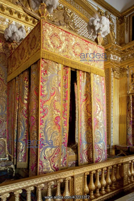 : King's Chamber and bed at Chateau de Versailles : King's Chamber and bed at Chateau de Versailles