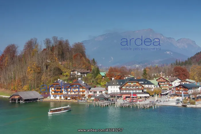 : Kings lake Berchtesgaden national park Bavaria : Kings lake Berchtesgaden national park Bavaria