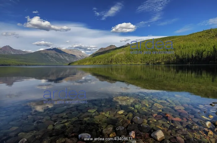 : Kintla Lake in Glacier National Park, Montana, USA : Kintla Lake in Glacier National Park, Montana, USA