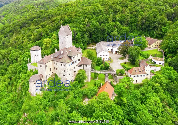 : Kipfenberg Castle, near Kipfenberg, Altmahltal : Kipfenberg Castle, near Kipfenberg, Altmahltal
