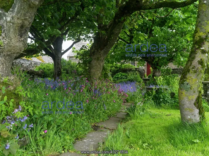 : Kirbuster Museum, Kirkwall, Orkney islands : Kirbuster Museum, Kirkwall, Orkney islands
