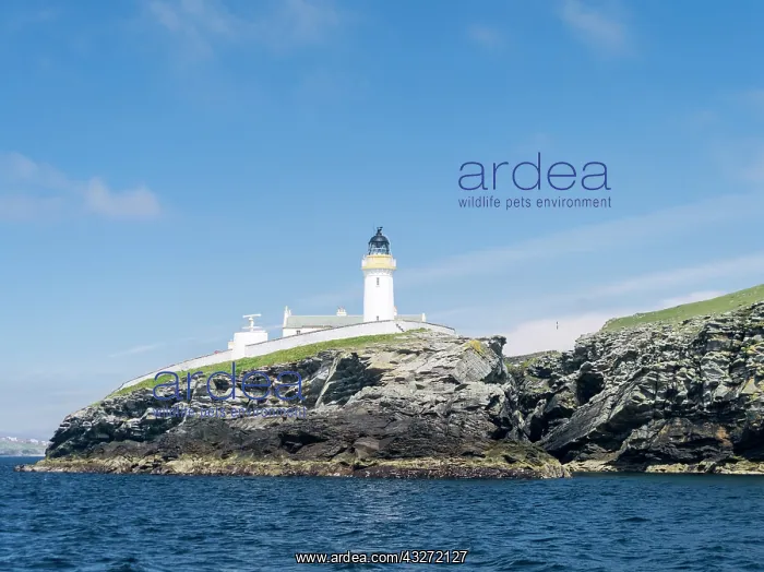 : Kirkabister lighthouse on Bressay, guarding : Kirkabister lighthouse on Bressay, guarding