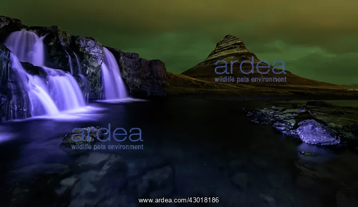  : Kirkjufell Mountain and waterfalls at night