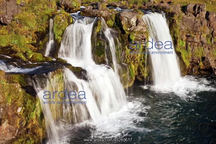 : Kirkjufellsfoss Waterfall, near Grundarfj&, x1b2935;r : Kirkjufellsfoss Waterfall, near Grundarfj&, x1b2935;r
