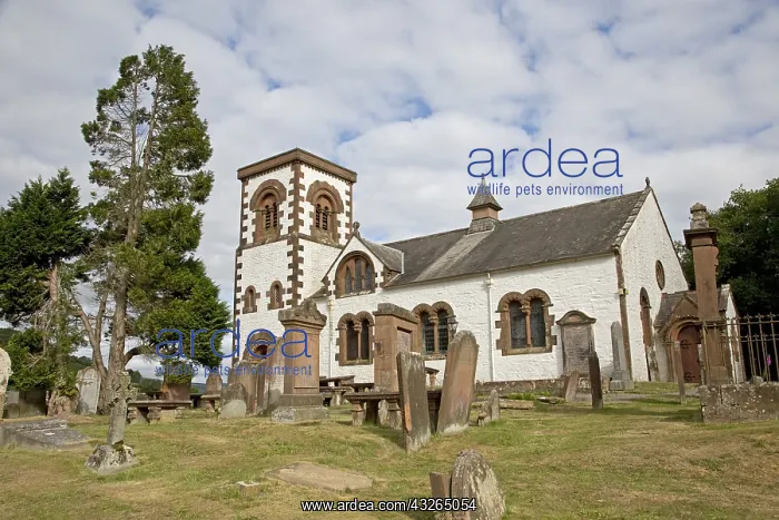 : Kirkpatrick church, Irongray, Kirkcudbright, Dumfries : Kirkpatrick church, Irongray, Kirkcudbright, Dumfries