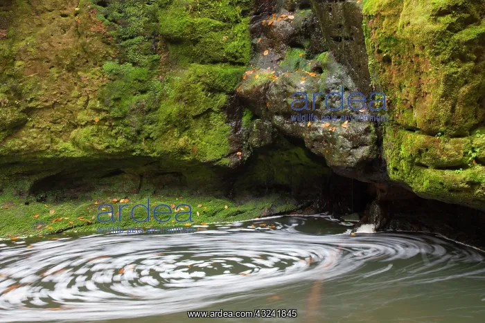 : Kirnitzsch Kirnitzsch Stream Elbe Sandstone Mountains : Kirnitzsch Kirnitzsch Stream Elbe Sandstone Mountains