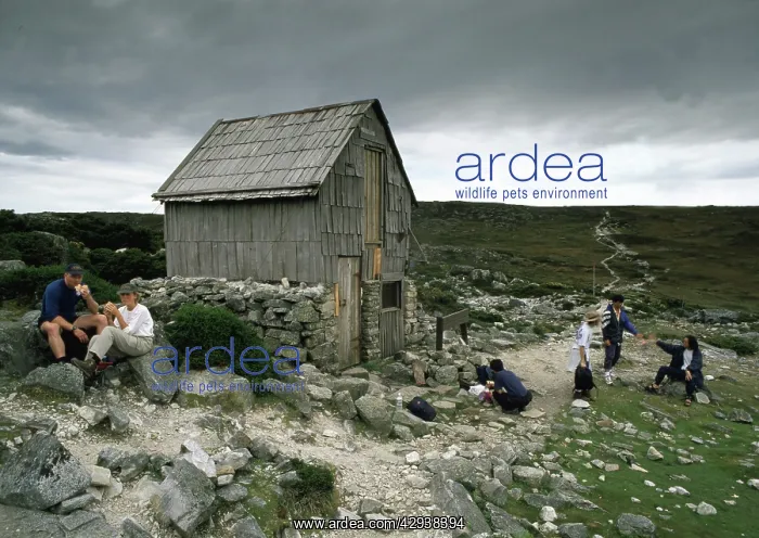 : Kitchen Hut.on the Overland Track, with bushwalkers : Kitchen Hut.on the Overland Track, with bushwalkers
