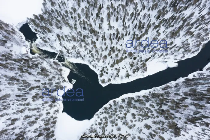 : Kitkajoki aerial : Kitkajoki aerial