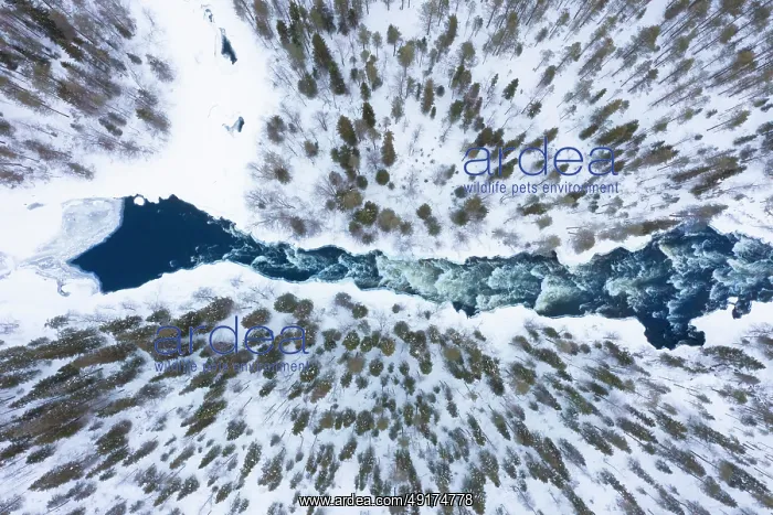 : Kitkajoki aerial : Kitkajoki aerial