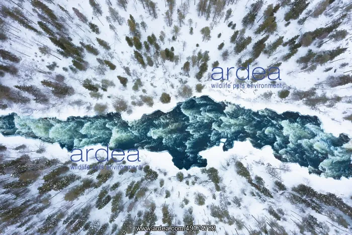 : Kitkajoki aerial : Kitkajoki aerial