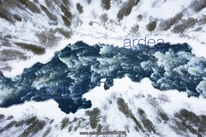 : Kitkajoki aerial : Kitkajoki aerial