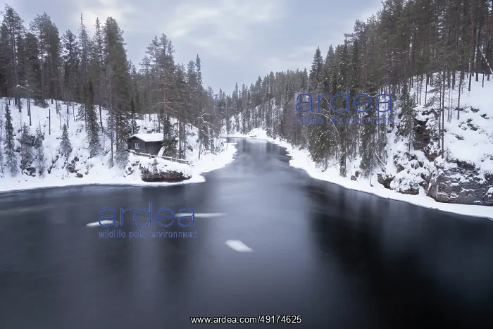 : Kitkajoki river : Kitkajoki river