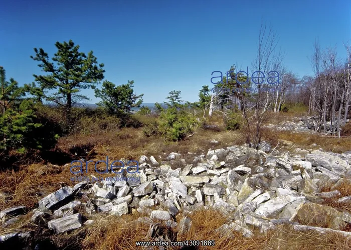 : Kittatinny Ridge : Kittatinny Ridge