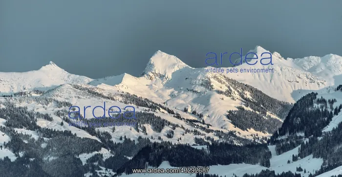 : Kitzb&, x28b25ca0;Alps, mountain range in winter : Kitzb&, x28b25ca0;Alps, mountain range in winter