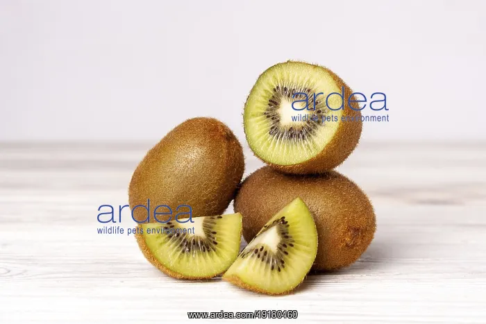 : Kiwi slices on white wooden table : Kiwi slices on white wooden table