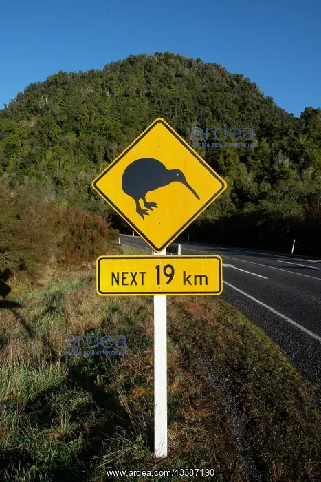 : Kiwi warning sign : Kiwi warning sign